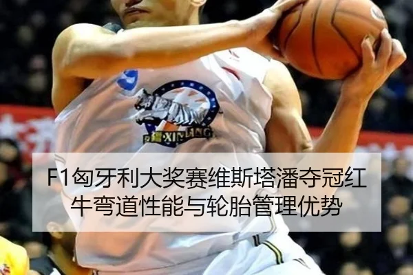 F1匈牙利大奖赛维斯塔潘夺冠红牛弯道性能与轮胎管理优势
